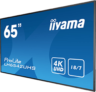 Monitor Prolite 65 immagine 01