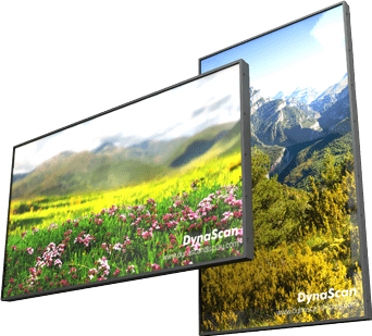 monitor alta luminosità 55"